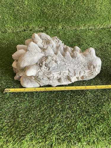 Concrete dragon head fantasy - dragon,