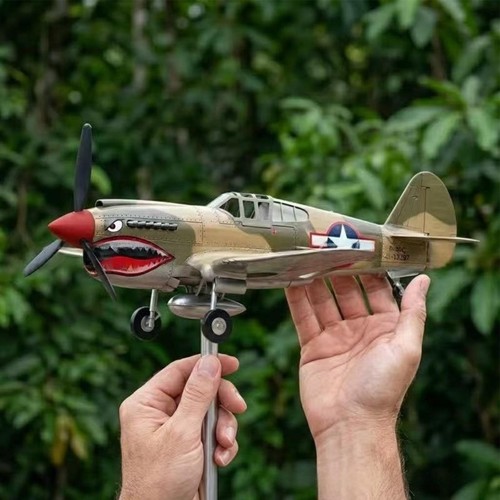 Shark mouth warplane - shark,
