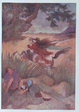 Evelyn Paul KAPPA HORSE 1913