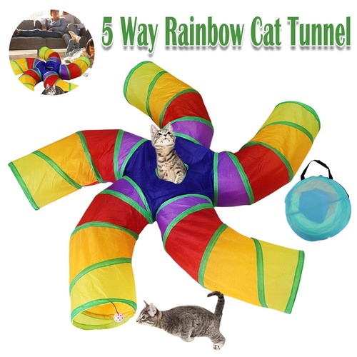Way type rainbow cat - rainbow,