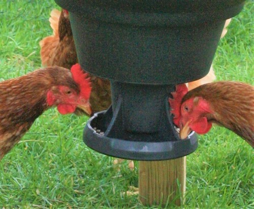 Pan feeder for game - pan,