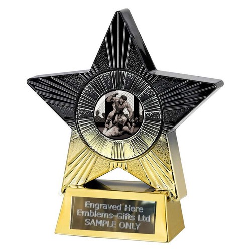 Mma cage fighting award - mma,