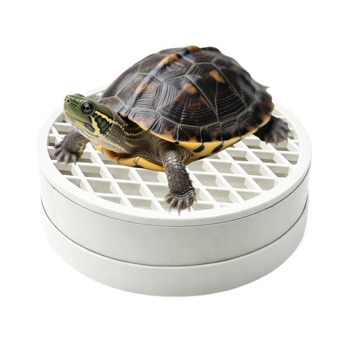 Turtle tank poop collector - tank,