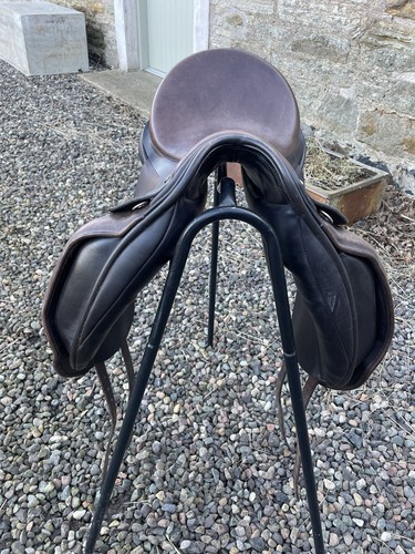 Gfs transition dressage - gfs,