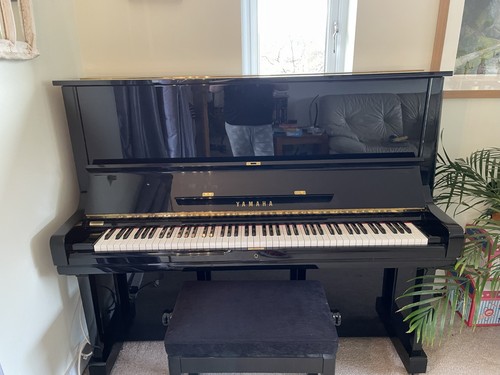 Professional standard yamaha - standard,