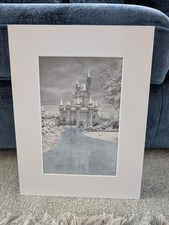 Walt Disney World Cinderella