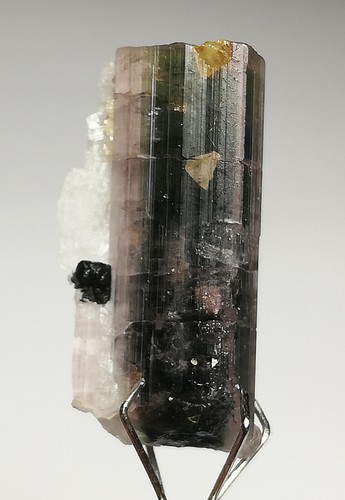 Carats rare natural - 16,