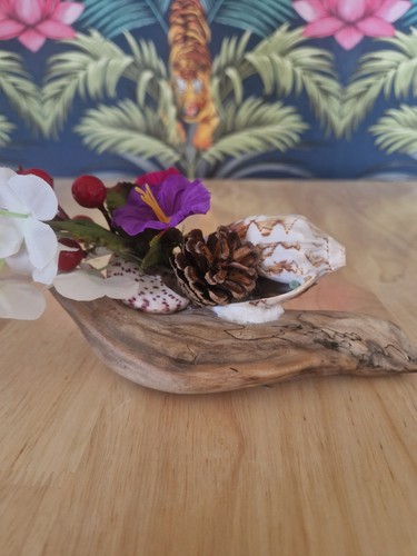 Sea shell and - and, on