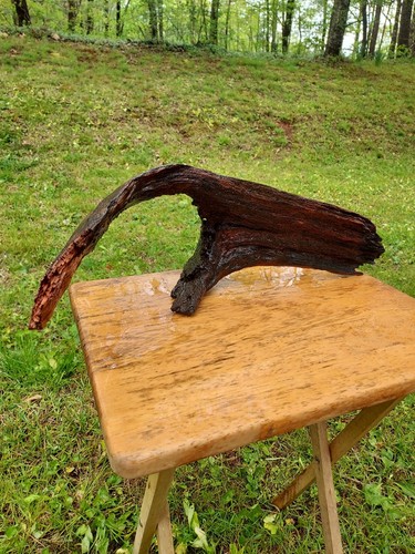Large driftwood root - driftwood,