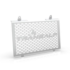 Motorcycle Raditor Guard For