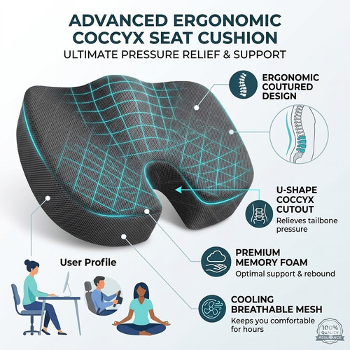 Cushion seat pillow - cushion,