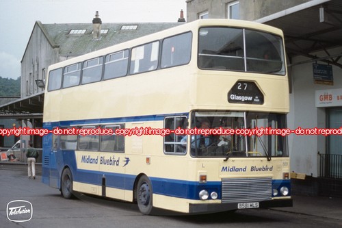 Bus photo midland bluebird - bus,