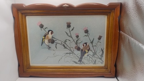 Vintage goldfinch framed - vintage,