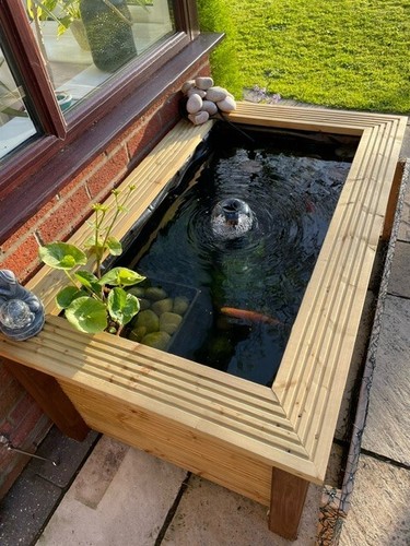Large raised garden pond - raised,