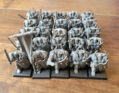 Chaos warriors full command - chaos,