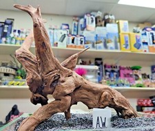 Premium Aged Mangrove root