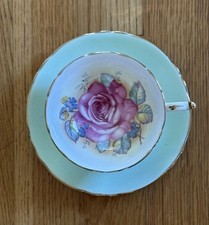 Paragon Floating Cabbage Rose