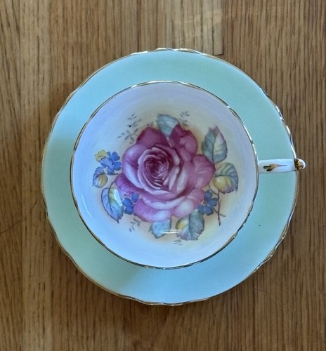 Paragon floating cabbage rose - paragon,
