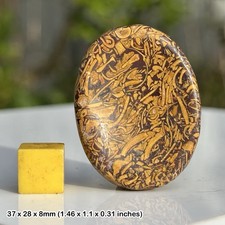 Miriam palm worry stone -