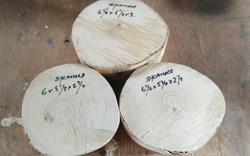 Sycamore bowl blanks wood - sycamore,
