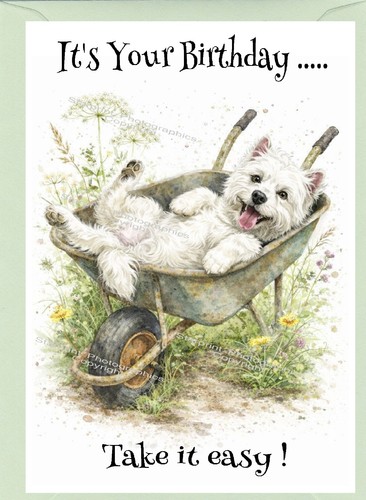 West highland white terrier - west,