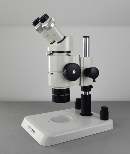 Wild heerbugg leica microscope - wild,