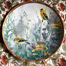 "Golden Splendor" Brooks &