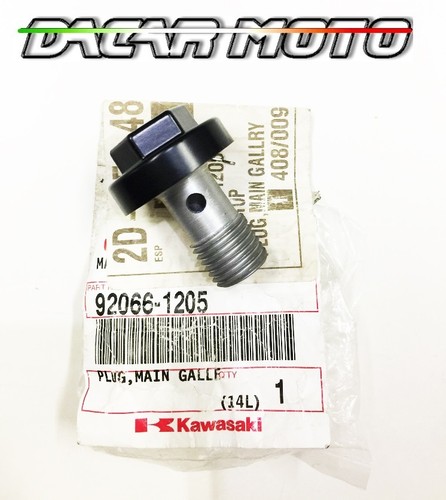 Oil drain plug 920661205 - oil,