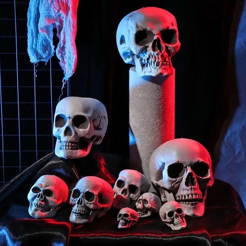 Halloween human skull head - halloween,