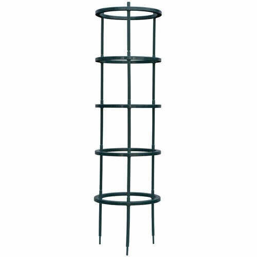 Garden climbing tomato flower - climbing,