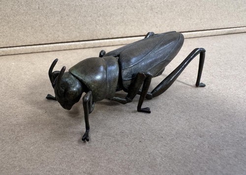 Bronze grasshopper insect - grasshopper,