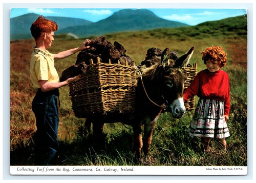 Vintage turf collecting donkey - vintage,