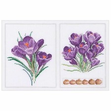 Cross-stitch kit Crocus 444A thea gouverneur Aïda