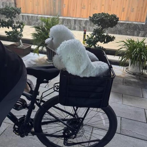 Rear bike basket - bike,