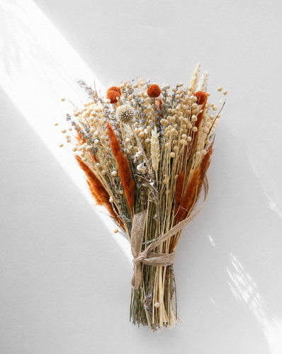 Cottage flowers dried flower - flowers,