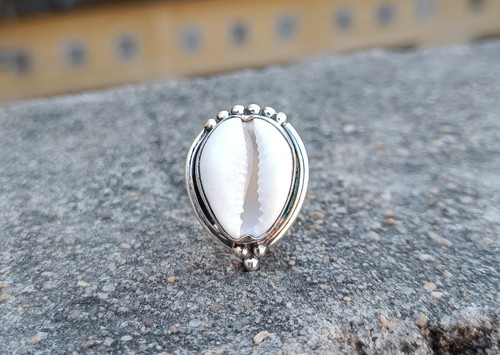 Natural cowrie shell - cowrie,