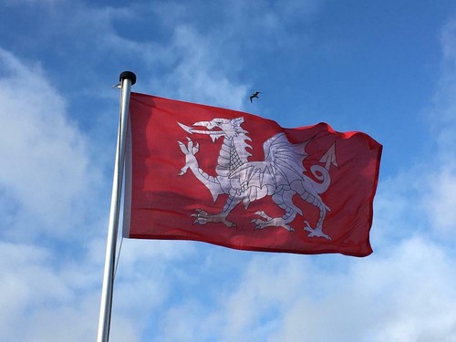 White dragon england english - white,