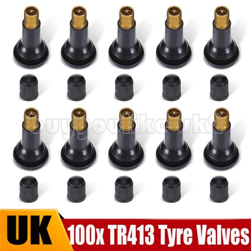 100x tr413 tubeless - 100x,