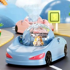 Transparent Ball Small Pet Toy