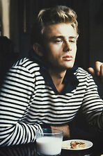 JAMES DEAN POSTER 3 (SIZES-A5-A4-A3-A2) + FREE SURPRISE A3 POSTER