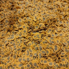 ALGAE PRO tropical fish food