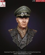 Life Mins WW2 General Rommel