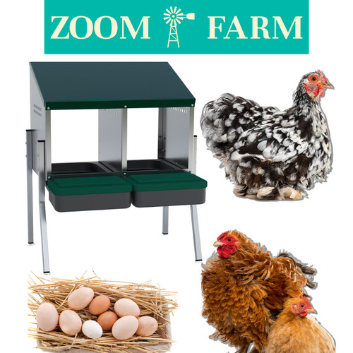 Compartment chicken nest box - nest,
