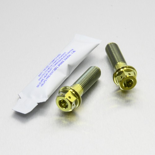 Titanium rear brake caliper - titanium,
