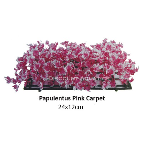 Artificial sea fans aquarium - sea,