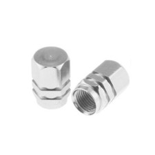 Valve Dust Caps Silver for