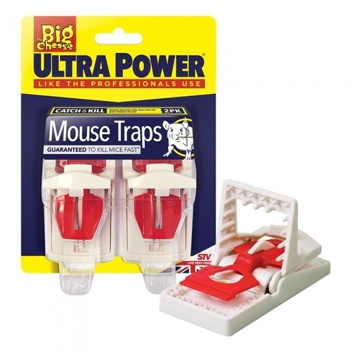 Mouse traps big - mouse,