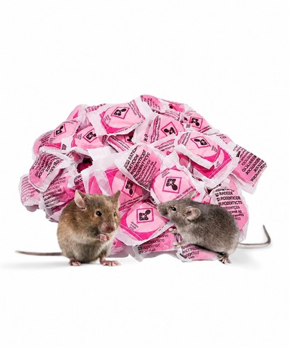 Super strong ratimor rat - strong, &