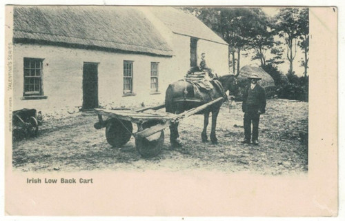 Vintage postcard horse and - vintage,