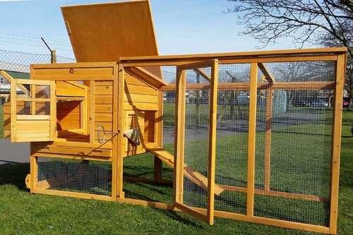 Large 8ft chicken coop hen - large,